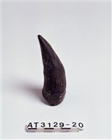 藏品(牛角火藥筒)的圖片